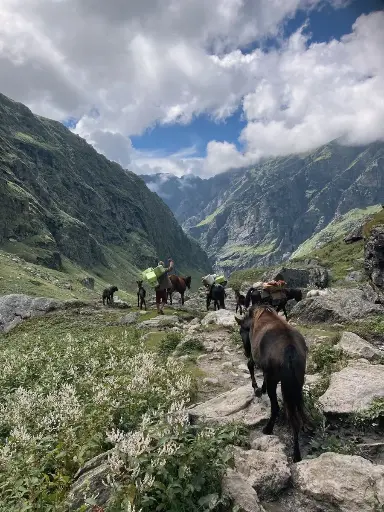 Hampta Pass