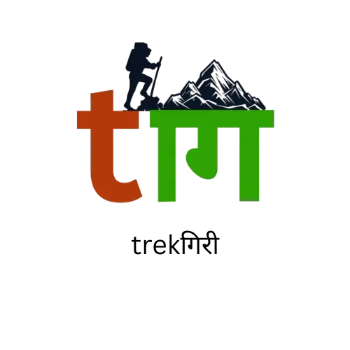 My Website